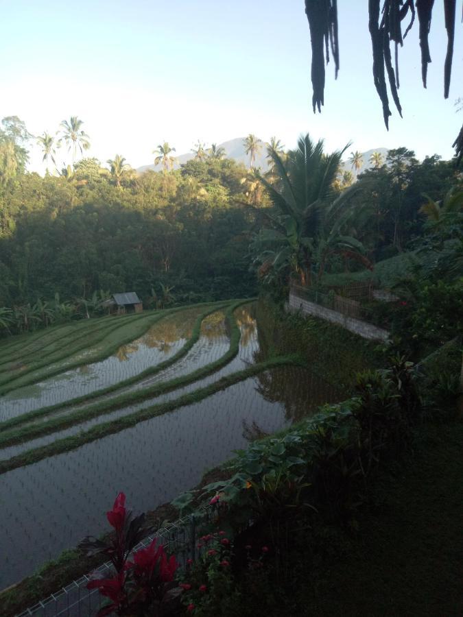 Babahan Farmstay Selemadeg Exterior foto