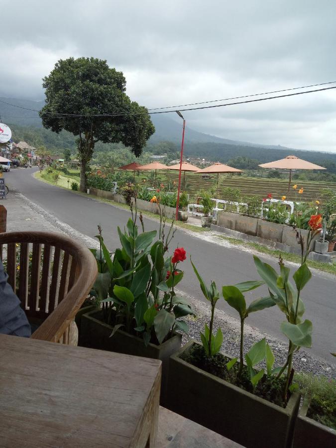 Babahan Farmstay Selemadeg Exterior foto
