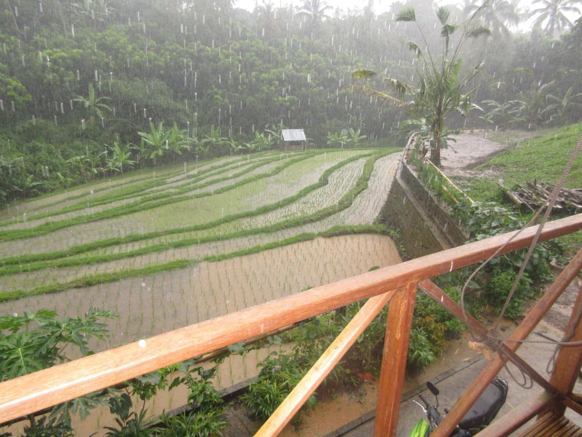 Babahan Farmstay Selemadeg Exterior foto