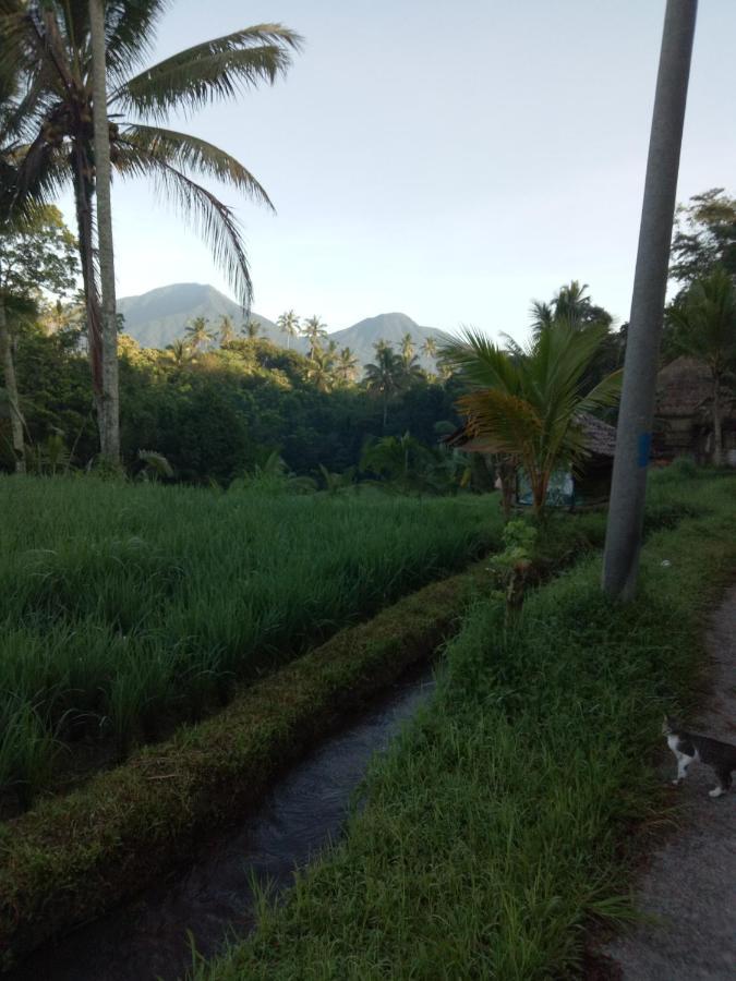Babahan Farmstay Selemadeg Exterior foto